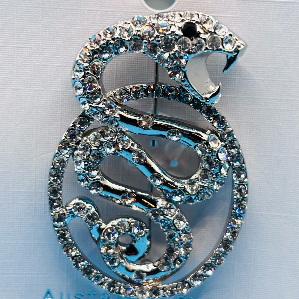 Silver Tone Snake Brooch‎